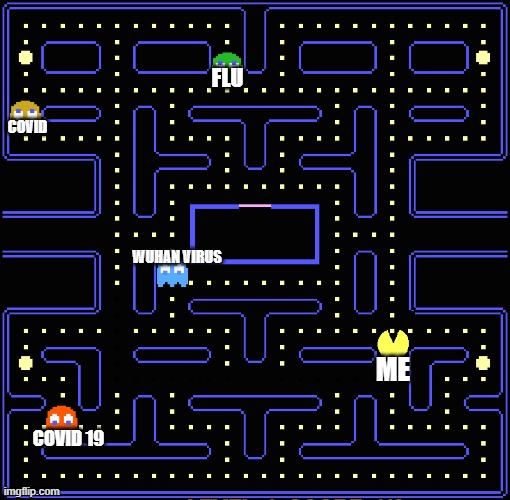 Shopping at Walmart nowadays | FLU; COVID; WUHAN VIRUS; ME; COVID 19 | image tagged in funny,funny memes,coronavirus | made w/ Imgflip meme maker