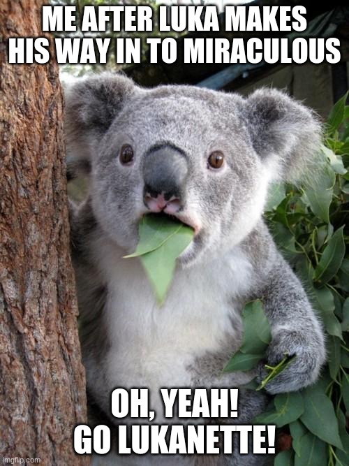 Surprised Koala Meme | ME AFTER LUKA MAKES HIS WAY IN TO MIRACULOUS; OH, YEAH! GO LUKANETTE! | image tagged in memes,surprised koala | made w/ Imgflip meme maker