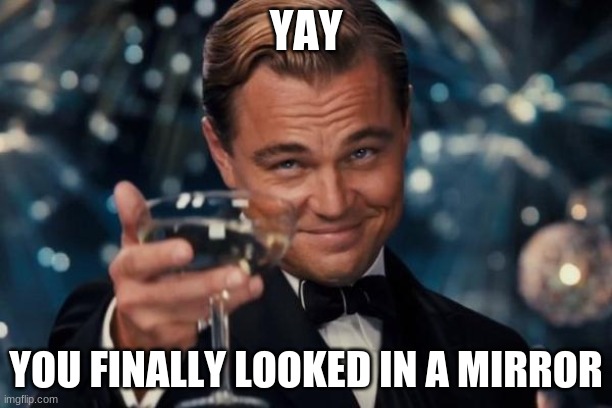 Leonardo Dicaprio Cheers |  YAY; YOU FINALLY LOOKED IN A MIRROR | image tagged in memes,leonardo dicaprio cheers | made w/ Imgflip meme maker