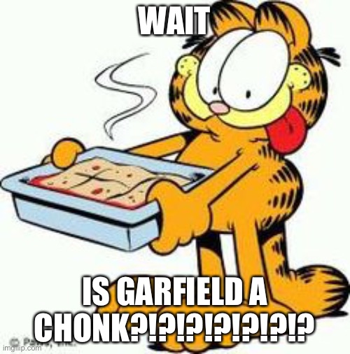 Garfield Lasagna | WAIT; IS GARFIELD A CHONK?!?!?!?!?!?!? | image tagged in garfield lasagna | made w/ Imgflip meme maker