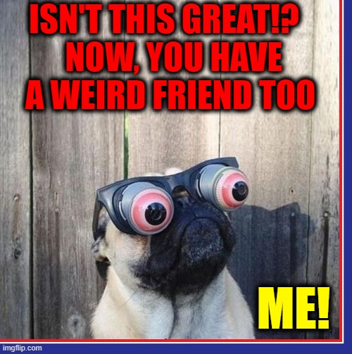 ISN'T THIS GREAT!?    NOW, YOU HAVE   A WEIRD FRIEND TOO ME! | made w/ Imgflip meme maker