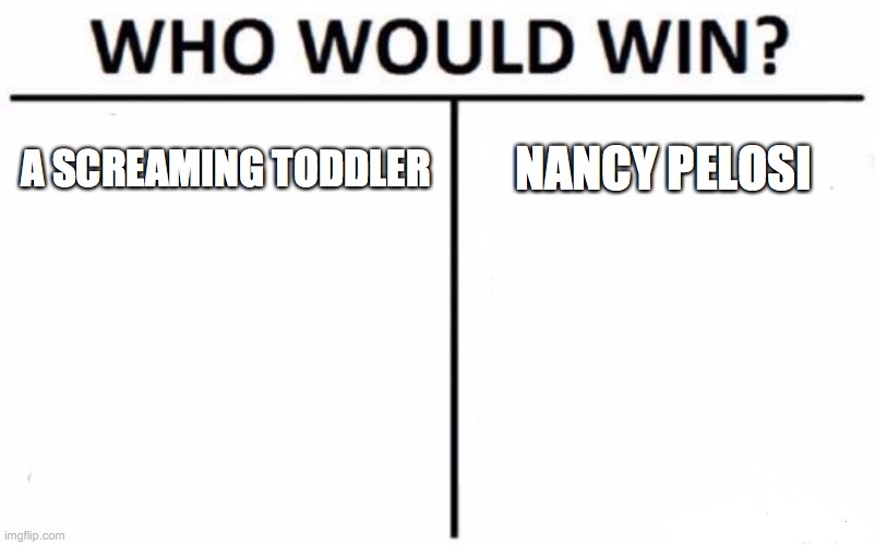 Who Would Win? | A SCREAMING TODDLER; NANCY PELOSI | image tagged in memes,who would win | made w/ Imgflip meme maker