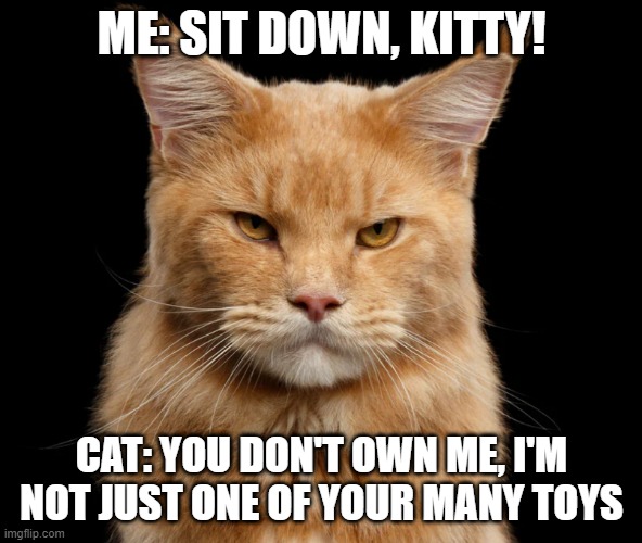 Cat: Don't Tell Me What to Do | ME: SIT DOWN, KITTY! CAT: YOU DON'T OWN ME, I'M NOT JUST ONE OF YOUR MANY TOYS | image tagged in grumpy cat,cats | made w/ Imgflip meme maker