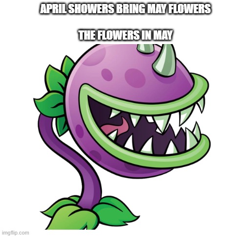 April showers brings May flowers | APRIL SHOWERS BRING MAY FLOWERS
 
THE FLOWERS IN MAY | image tagged in blank white template | made w/ Imgflip meme maker