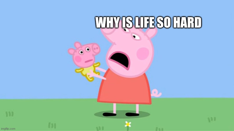 Why is life so hard | WHY IS LIFE SO HARD | image tagged in life sucks | made w/ Imgflip meme maker