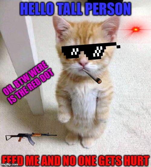 Cute Cat | HELLO TALL PERSON; OH, BTW WERE IS THE RED DOT; FEED ME AND NO ONE GETS HURT | image tagged in memes,cute cat | made w/ Imgflip meme maker