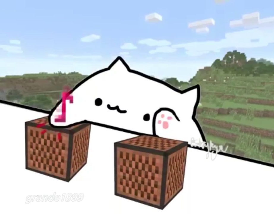 mincraft cat Blank Meme Template