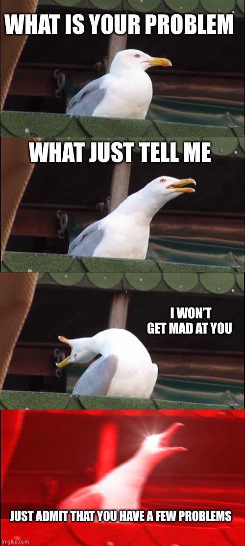 Inhaling Seagull | WHAT IS YOUR PROBLEM; WHAT JUST TELL ME; I WON’T GET MAD AT YOU; JUST ADMIT THAT YOU HAVE A FEW PROBLEMS | image tagged in memes,inhaling seagull | made w/ Imgflip meme maker