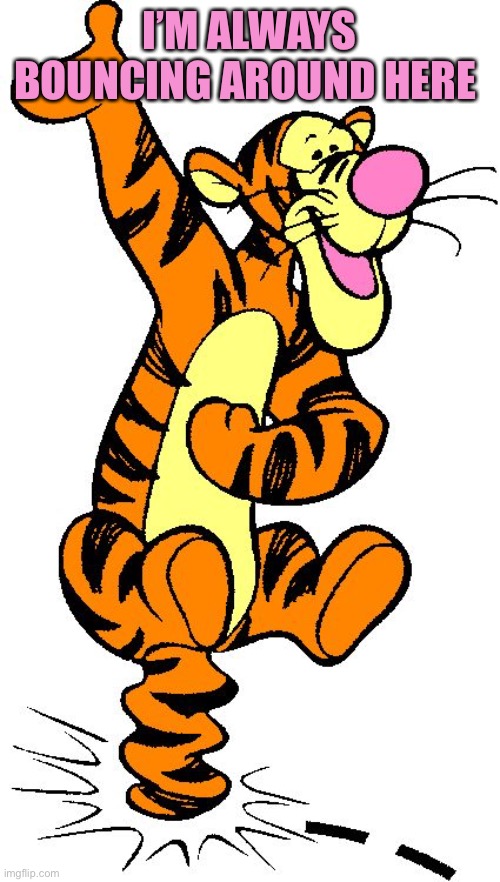 Great North Checks Bounce Like Tigger | I’M ALWAYS BOUNCING AROUND HERE | image tagged in great north checks bounce like tigger | made w/ Imgflip meme maker