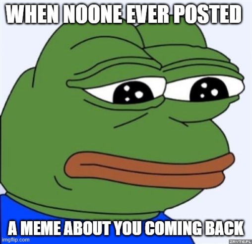 sad frog | WHEN NOONE EVER POSTED A MEME ABOUT YOU COMING BACK | image tagged in sad frog | made w/ Imgflip meme maker