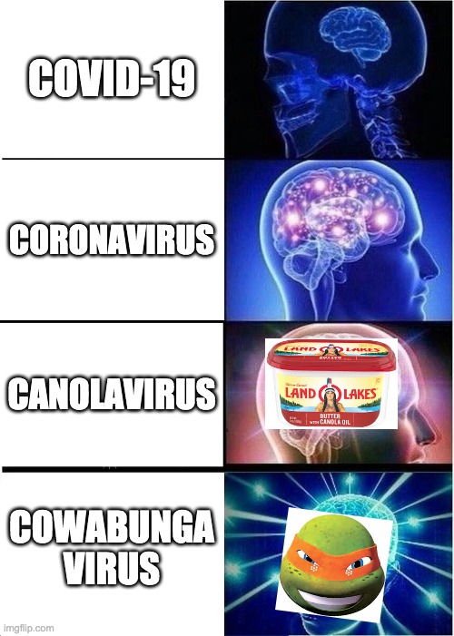 virus names | COVID-19; CORONAVIRUS; CANOLAVIRUS; COWABUNGA VIRUS | image tagged in memes,expanding brain | made w/ Imgflip meme maker