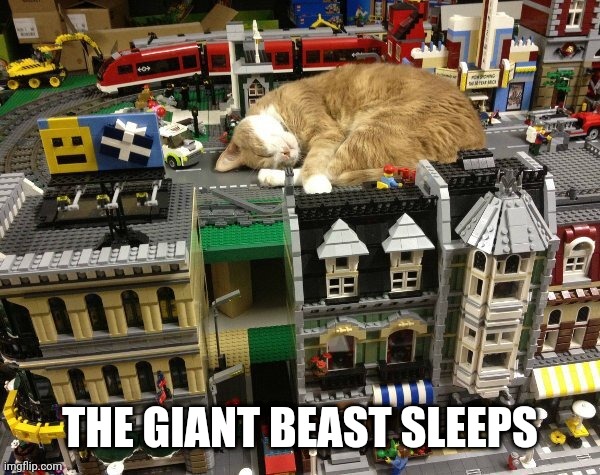 THE CITY CAN HAVE SOME PEACE | THE GIANT BEAST SLEEPS | image tagged in cats,funny cats | made w/ Imgflip meme maker