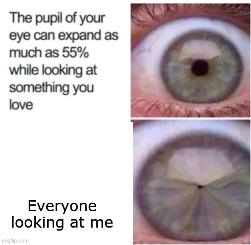 truth |  Everyone looking at me | image tagged in dark humor | made w/ Imgflip meme maker