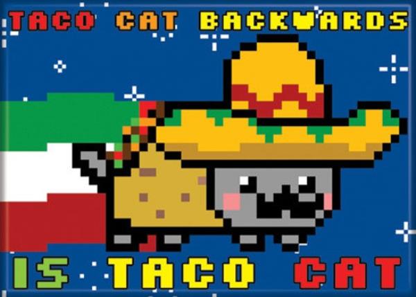 High Quality taco cat Blank Meme Template