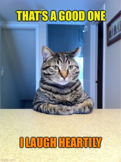 Take A Seat Cat Meme | THAT’S A GOOD ONE I LAUGH HEARTILY | image tagged in memes,take a seat cat | made w/ Imgflip meme maker