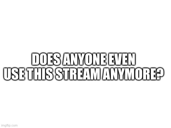 No one’s posting |  DOES ANYONE EVEN USE THIS STREAM ANYMORE? | image tagged in blank white template | made w/ Imgflip meme maker