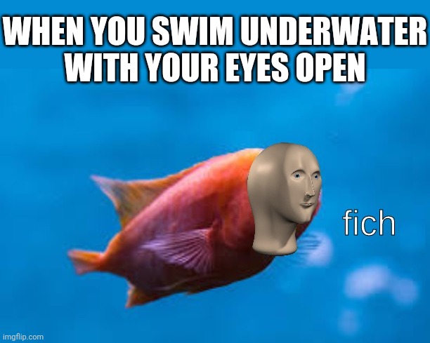 Fich | WHEN YOU SWIM UNDERWATER WITH YOUR EYES OPEN | image tagged in fish,swimming,meme man,memes | made w/ Imgflip meme maker
