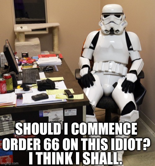 Wrong era but you get my point | SHOULD I COMMENCE ORDER 66 ON THIS IDIOT? I THINK I SHALL. | image tagged in workfromhomestormtrooper1 | made w/ Imgflip meme maker