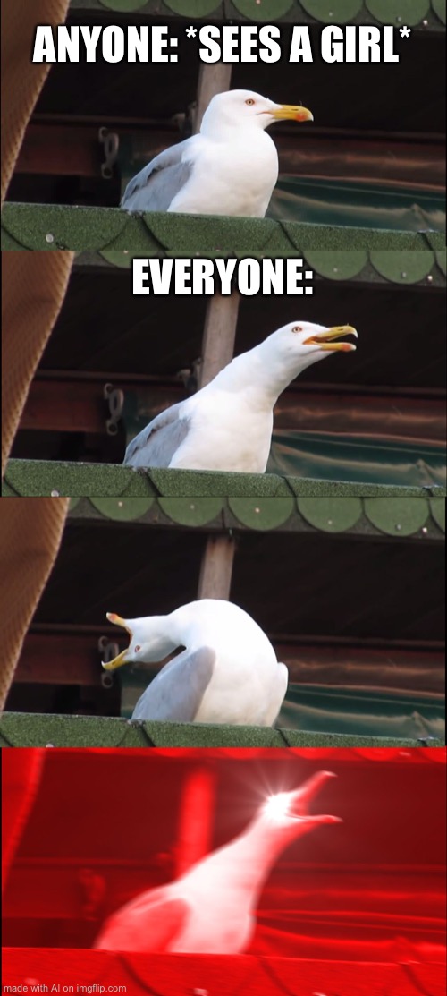 Inhaling Seagull | ANYONE: *SEES A GIRL*; EVERYONE: | image tagged in memes,inhaling seagull | made w/ Imgflip meme maker