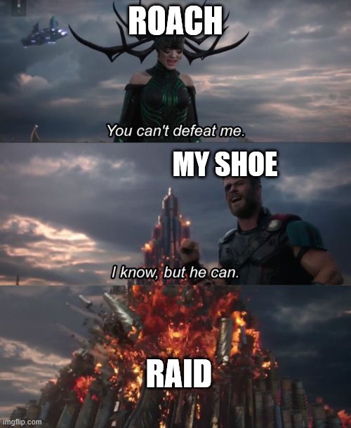 You can't defeat me | ROACH; MY SHOE; RAID | image tagged in you can't defeat me | made w/ Imgflip meme maker