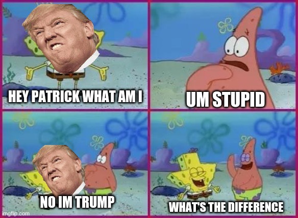 Spongebob Texas | HEY PATRICK WHAT AM I; UM STUPID; NO IM TRUMP; WHAT'S THE DIFFERENCE | image tagged in spongebob texas | made w/ Imgflip meme maker