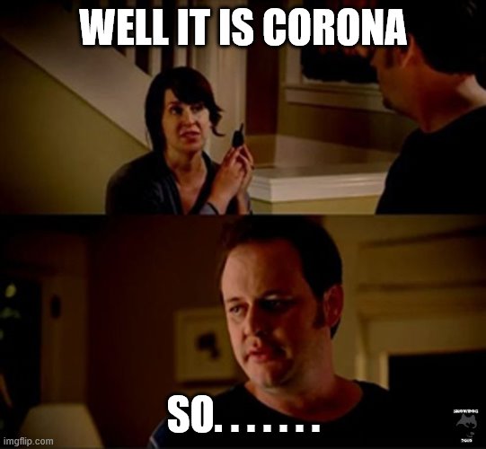 well he's a guy so... | WELL IT IS CORONA; SO. . . . . . . | image tagged in well he's a guy so | made w/ Imgflip meme maker