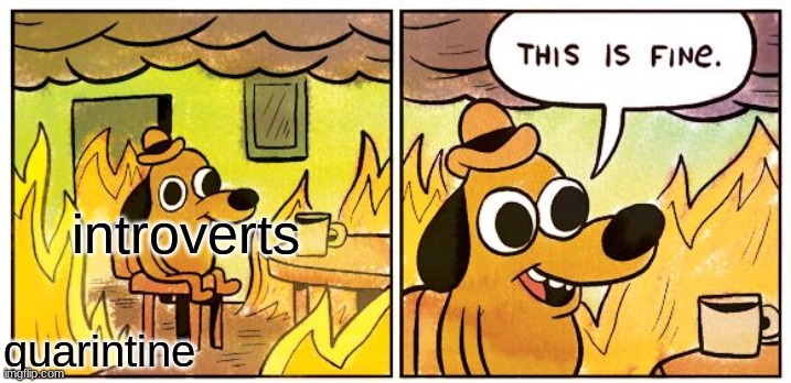 This Is Fine Meme | introverts; quarintine | image tagged in memes,this is fine | made w/ Imgflip meme maker