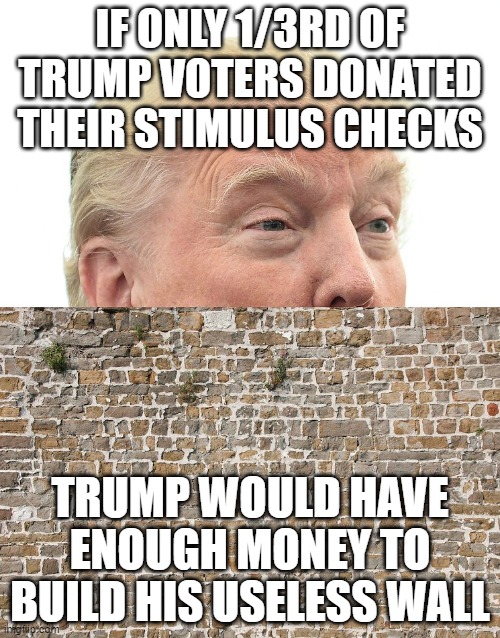 What are you waiting for | IF ONLY 1/3RD OF TRUMP VOTERS DONATED THEIR STIMULUS CHECKS; TRUMP WOULD HAVE ENOUGH MONEY TO BUILD HIS USELESS WALL | image tagged in trump wall,stimulus checks,covid-19,hypocrisy | made w/ Imgflip meme maker