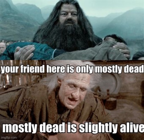 “Harry Potter... is dead! HARRY POTTER IS DEAD!!!!!!!” | image tagged in harry potter,princess bride | made w/ Imgflip meme maker