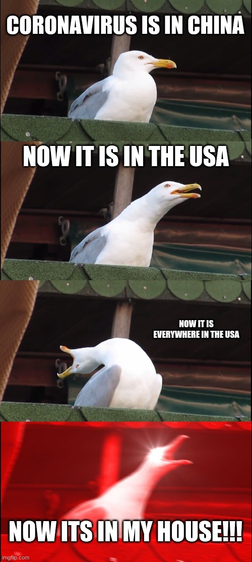 seagull inhales corona | CORONAVIRUS IS IN CHINA; NOW IT IS IN THE USA; NOW IT IS EVERYWHERE IN THE USA; NOW ITS IN MY HOUSE!!! | image tagged in memes,inhaling seagull | made w/ Imgflip meme maker