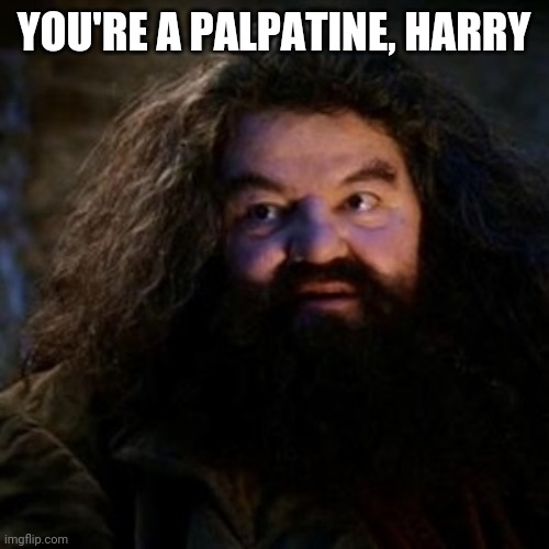 You're a Palpatine, Harry | YOU'RE A PALPATINE, HARRY | image tagged in you're a wizard harry,harry potter,the rise of skywalker,star wars,star wars rey | made w/ Imgflip meme maker