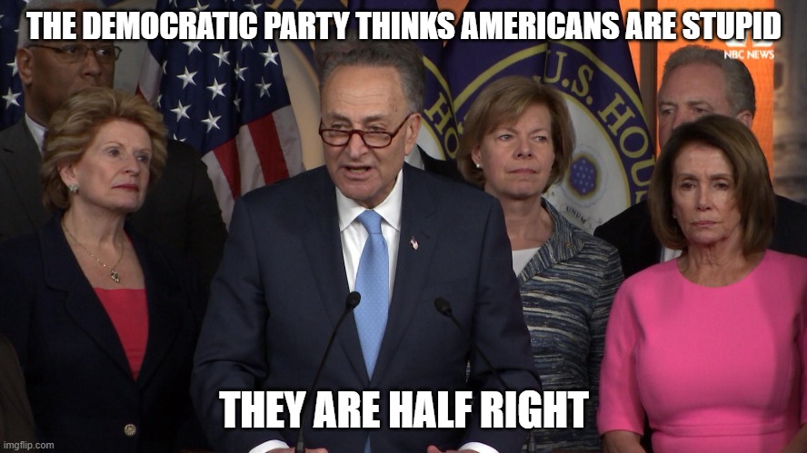 Democrat congressmen | THE DEMOCRATIC PARTY THINKS AMERICANS ARE STUPID; THEY ARE HALF RIGHT | image tagged in democrat congressmen | made w/ Imgflip meme maker