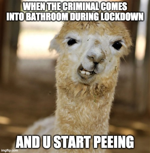 WHEN THE CRIMINAL COMES INTO BATHROOM DURING LOCKDOWN; AND U START PEEING | image tagged in lockdown | made w/ Imgflip meme maker