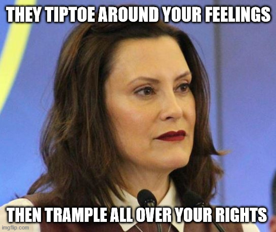 Tiptoe | THEY TIPTOE AROUND YOUR FEELINGS; THEN TRAMPLE ALL OVER YOUR RIGHTS | image tagged in whitmer | made w/ Imgflip meme maker