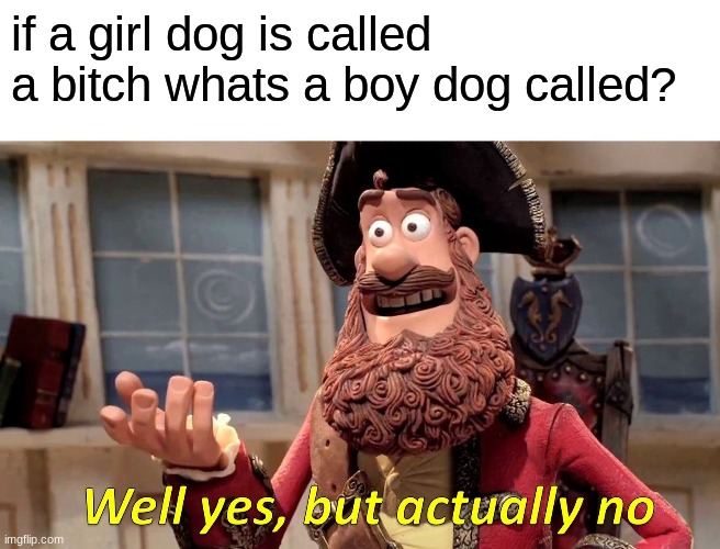 hmmmmm | if a girl dog is called a bitch whats a boy dog called? | image tagged in memes,well yes but actually no | made w/ Imgflip meme maker