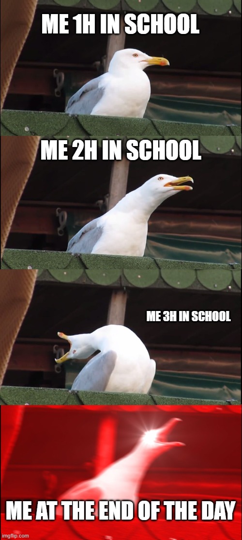 school | ME 1H IN SCHOOL; ME 2H IN SCHOOL; ME 3H IN SCHOOL; ME AT THE END OF THE DAY | image tagged in memes,inhaling seagull | made w/ Imgflip meme maker