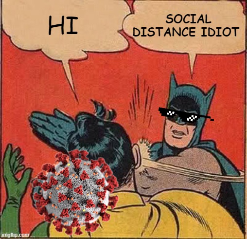 Robin has coronavirus | SOCIAL DISTANCE IDIOT; HI | image tagged in memes,batman slapping robin | made w/ Imgflip meme maker