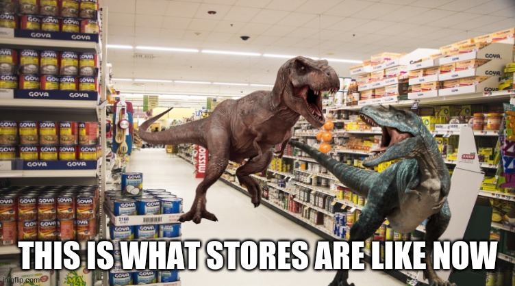 real footage of a store in wisconsin | THIS IS WHAT STORES ARE LIKE NOW | image tagged in dinosaurs,coronavirus | made w/ Imgflip meme maker