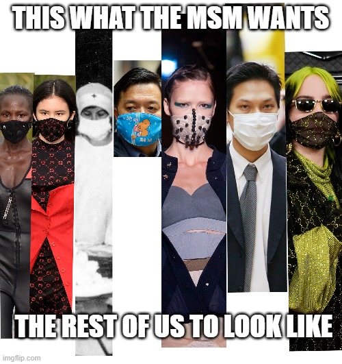 THIS WHAT THE MSM WANTS THE REST OF US TO LOOK LIKE | made w/ Imgflip meme maker