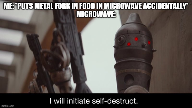 high quality meme here | ME: *PUTS METAL FORK IN FOOD IN MICROWAVE ACCIDENTALLY*
MICROWAVE: | image tagged in i will initiate self-destruct,cool | made w/ Imgflip meme maker