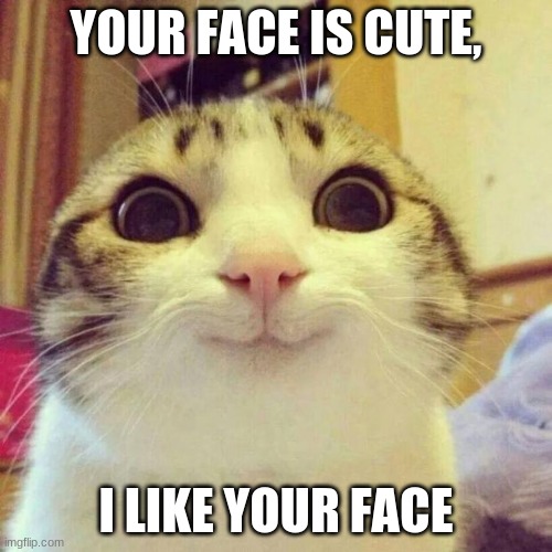 Smiling Cat | YOUR FACE IS CUTE, I LIKE YOUR FACE | image tagged in memes,smiling cat,uwu | made w/ Imgflip meme maker