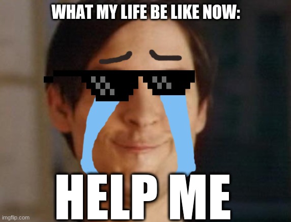 life sucks | WHAT MY LIFE BE LIKE NOW:; HELP ME | image tagged in memes,spiderman peter parker | made w/ Imgflip meme maker