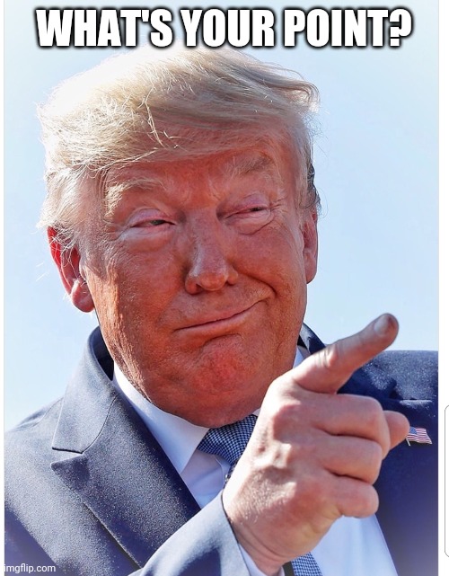 Trump pointing | WHAT'S YOUR POINT? | image tagged in trump pointing | made w/ Imgflip meme maker