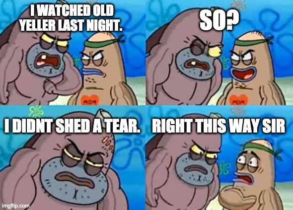 How Tough Are You | SO? I WATCHED OLD YELLER LAST NIGHT. I DIDNT SHED A TEAR. RIGHT THIS WAY SIR | image tagged in memes,how tough are you | made w/ Imgflip meme maker
