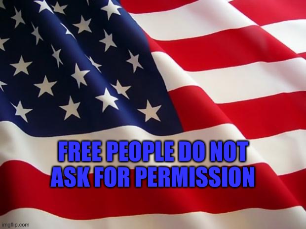 Free People | FREE PEOPLE DO NOT
ASK FOR PERMISSION | image tagged in american flag | made w/ Imgflip meme maker