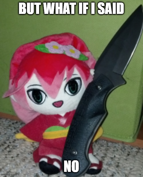 Knife Camellia | BUT WHAT IF I SAID NO | image tagged in knife camellia | made w/ Imgflip meme maker