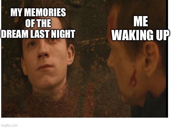 Dreams |  MY MEMORIES OF THE DREAM LAST NIGHT; ME WAKING UP | image tagged in memes,funny meme,meme,lol,lmao,spider man | made w/ Imgflip meme maker