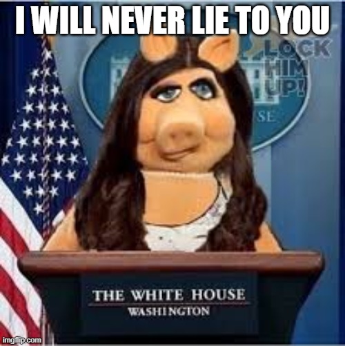 I WILL NEVER LIE TO YOU | made w/ Imgflip meme maker