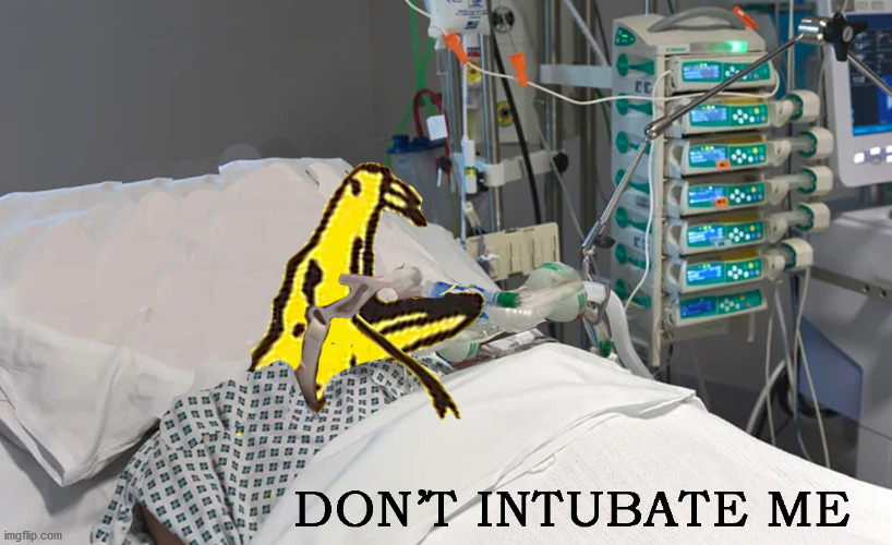 DONT INTUBATE ME | image tagged in coronavirus,covid,protest | made w/ Imgflip meme maker