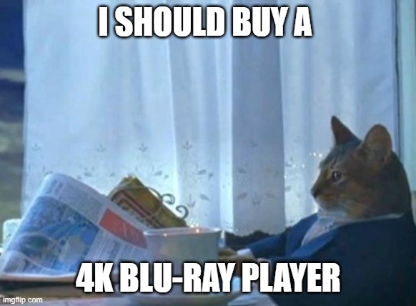 Cat newspaper | I SHOULD BUY A; 4K BLU-RAY PLAYER | image tagged in cat newspaper | made w/ Imgflip meme maker